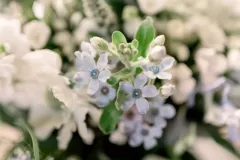 Détail bouquet de mariée